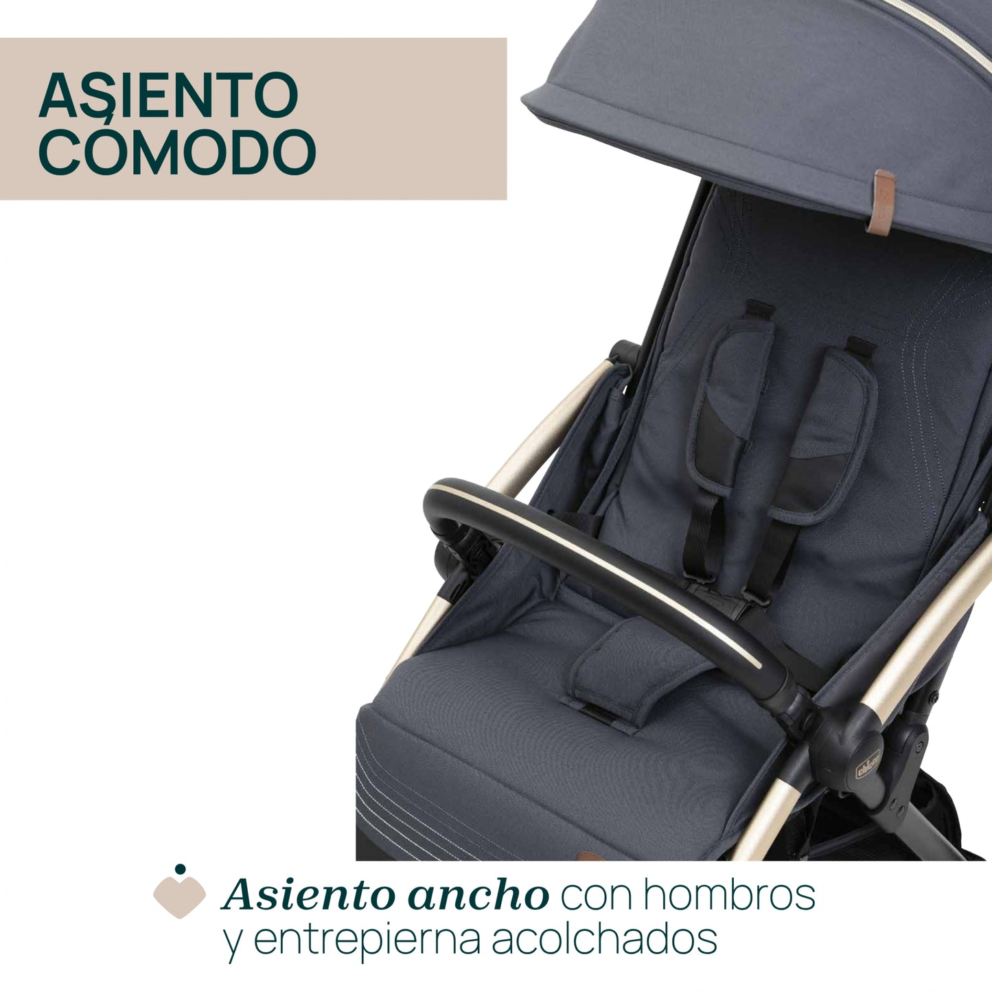 Silla de Paseo Goody XPlus