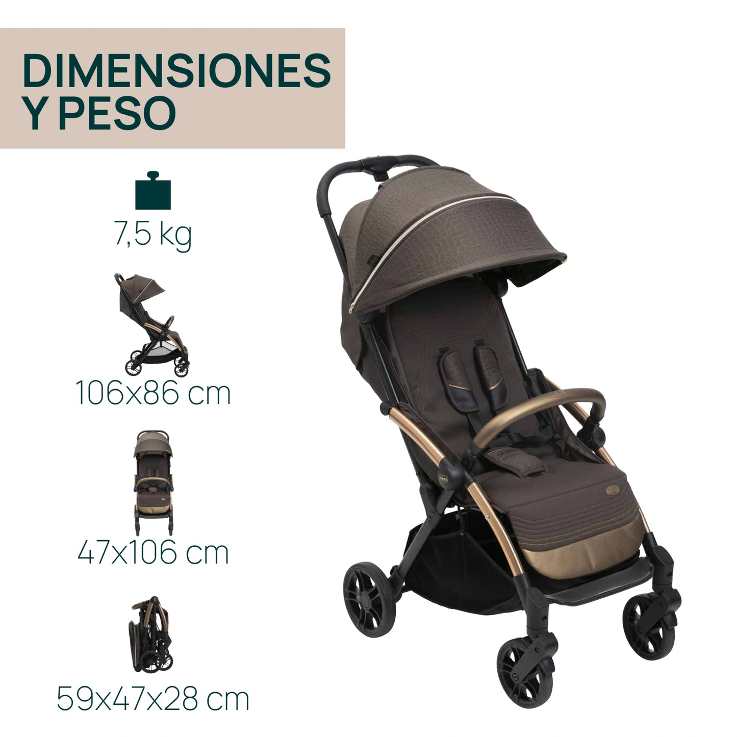 Silla de Paseo Goody XPlus